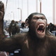 Illustration for article titled Felicity joins the emDawn of the Planet of the Apes/em, but as a human or a primate?